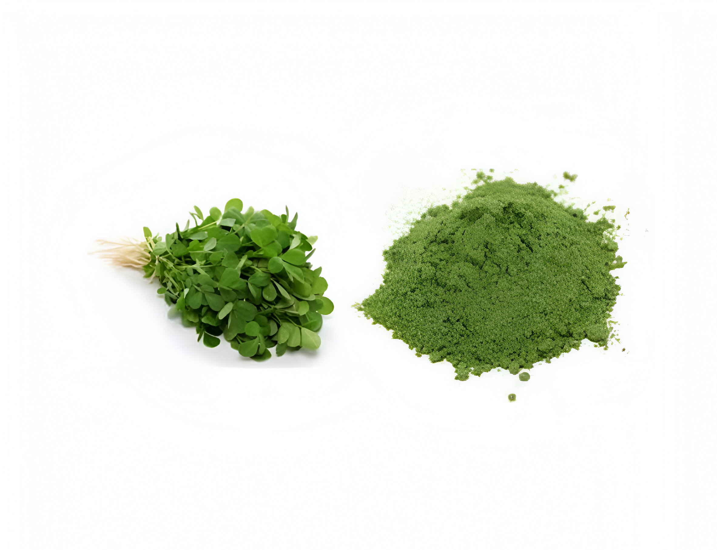 Methi Leaf Powder